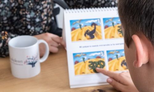 diagnostico dislexia